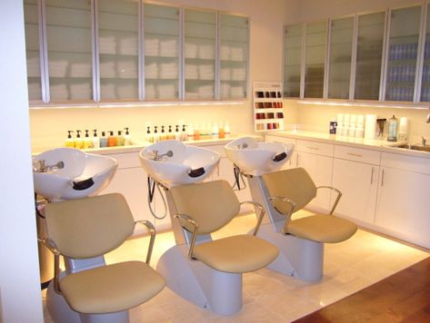 Takara Belmont Sara Shampoo Unit salon units