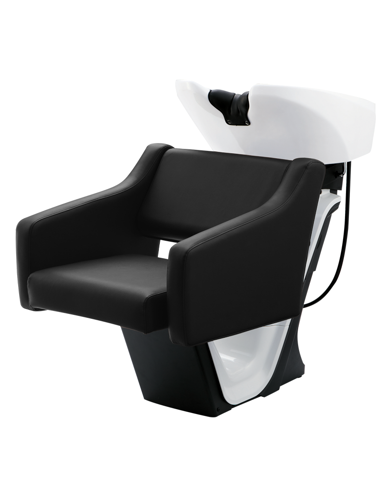 Takara Belmont RS Luxis Shampoo Backwash Unit