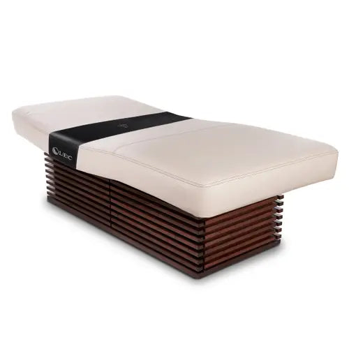 Living Earth Crafts Insignia 2.0 Modern treatment table with white mattress and slatted wood base
